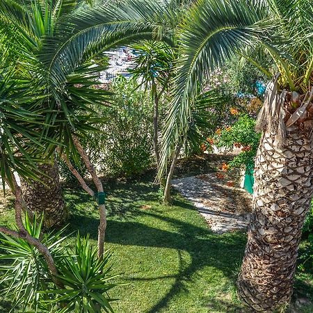 Olive Grove Apts Lithakia  Dış mekan fotoğraf
