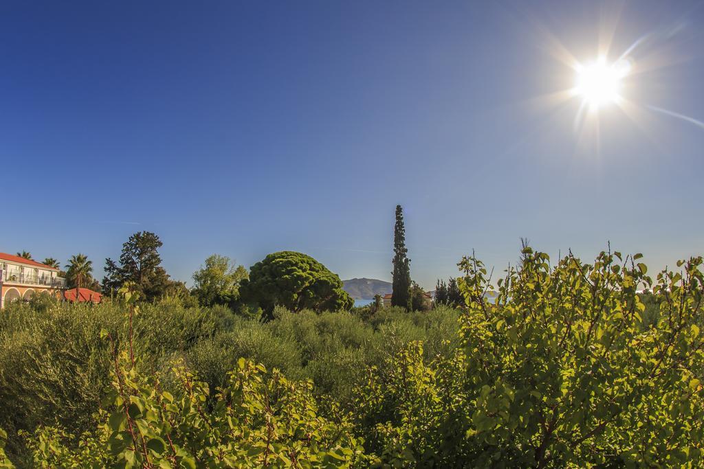 Olive Grove Apts Daire Lithakia  Oda fotoğraf