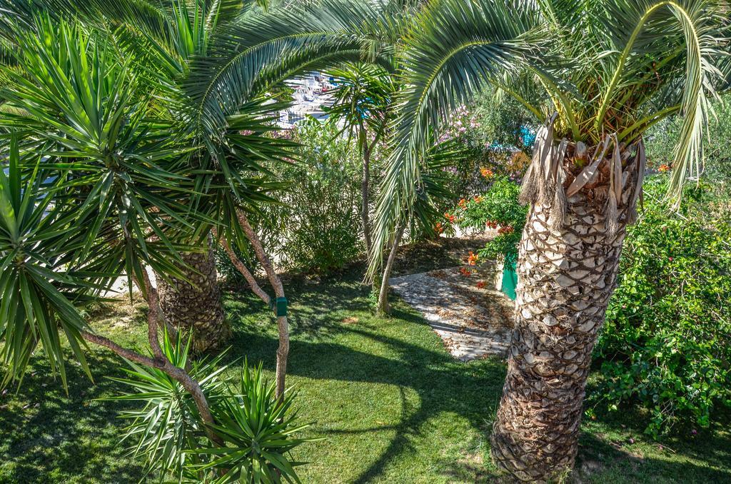 Olive Grove Apts Lithakia  Dış mekan fotoğraf