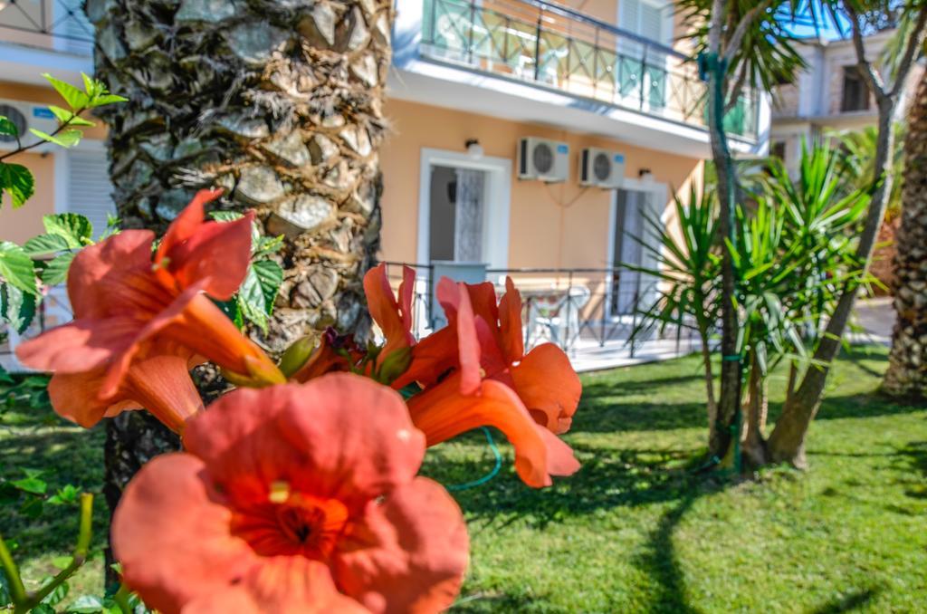 Olive Grove Apts Lithakia  Dış mekan fotoğraf