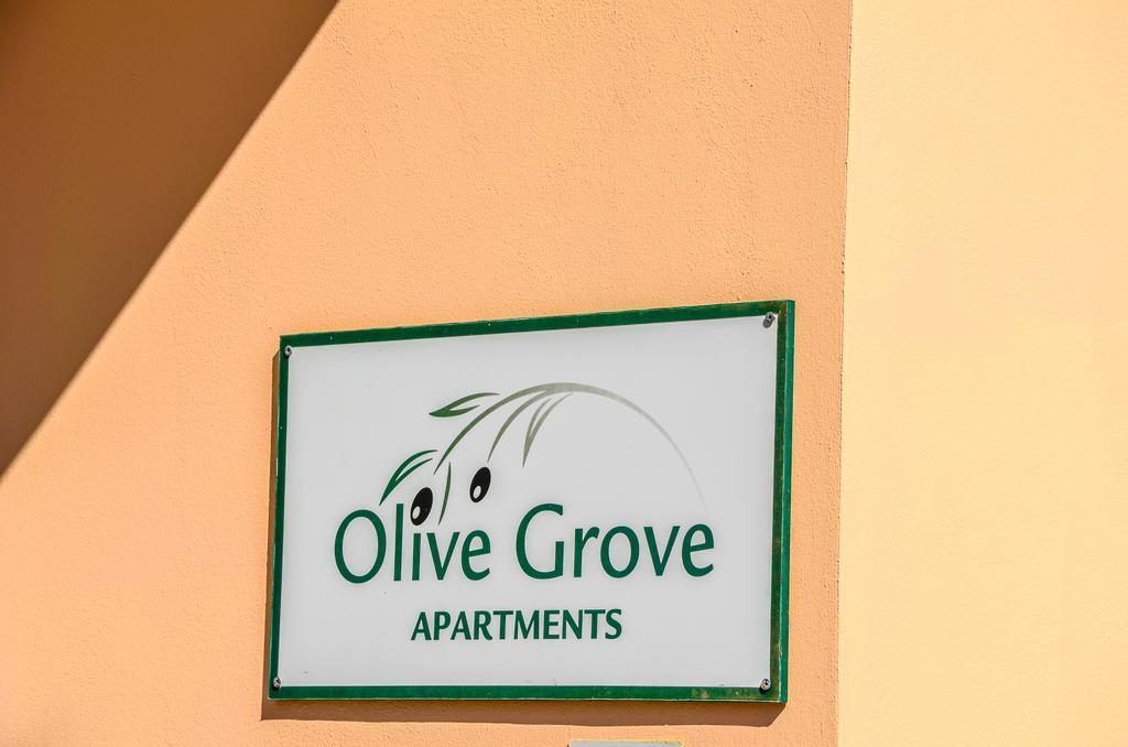 Olive Grove Apts Lithakia  Dış mekan fotoğraf