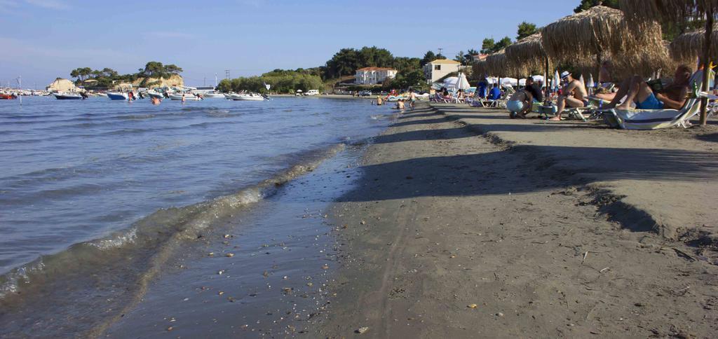 Olive Grove Apts Lithakia  Dış mekan fotoğraf