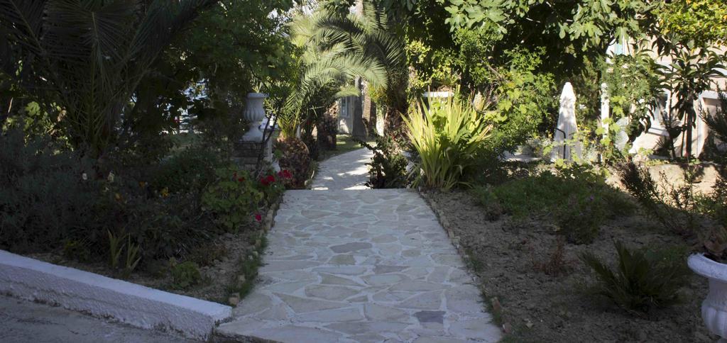 Olive Grove Apts Lithakia  Dış mekan fotoğraf